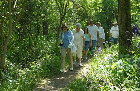 Biking, Hiking Trails and Walking Paths