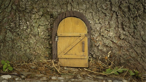 Fairy Door Adventure