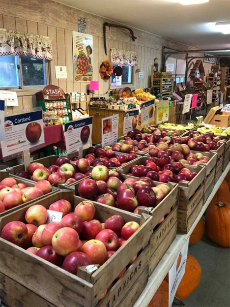 Orchards & Cider Mills